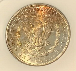 1881 S �����K�� �_���[�ANGC MS64�A�Â��z���_�[�A���ʂ̃g�[�������ɔ�����!! �ڂ������܂�!