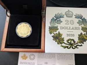 2020N 20h  - ےIȃ[v[t B20