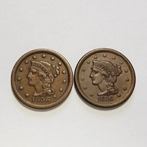 1856N 1Zg ҂ݍ݃wA [WZg 2Zbg ΂ 5 XF/AU - Y5533