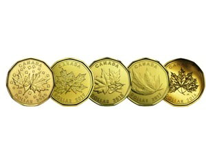 ???? 󏭃Ji_ 1 h[j[Ae탁[v[t 1 hd݁A~g UNCA2016-2020