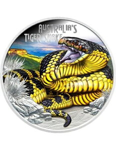 ^CK[Xl[N vIŊ댯1IX 1h co 2025N