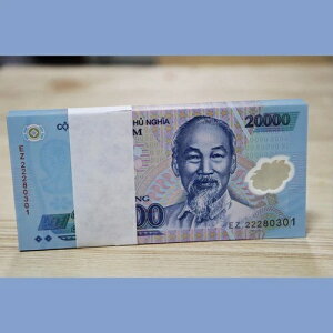 ���b�g100�A�x�g�i��20000�h���v���X�`�b�N����/UNC��������