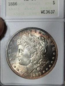 1886�N 1�h�� �����K���E�_���[ ANACS�u�\�[�v�{�b�N�X�vMS64 �g�[�� #WE3637