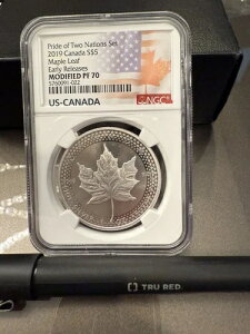 2019�N 5�h�� �J�i�f�B�A�� �V���o�[ ���[�v�����[�t NGC ���f�B�t�@�C�h PF70 �v���C�h �I�u �c�[�l�[�V�����Y??