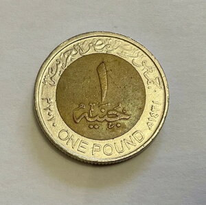 GWvg 1 |hA2005-2022A~ĝ 1000 B