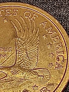 ʂSacagewea 2000 PX^v̌