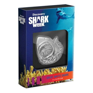 2024NV[NEB[N zzWU 2IX Vo[RC Agoro s1000