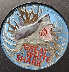 2021NI[XgA 1h zzWU J[ 1IX .999 Vo[ t