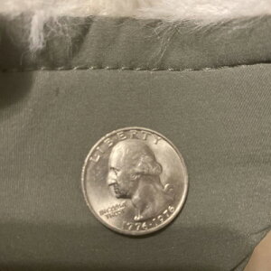 米国建国200周年記念クォーター硬貨、希少なミントマークエラー1776-1976 D(ダブルエラー)