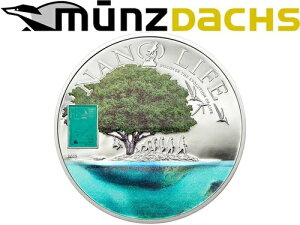 10�h�� �i�m���C�t �N�b�N���� 50�O���� .999 ���� �v���[�t �i�m�`�b�v�t��