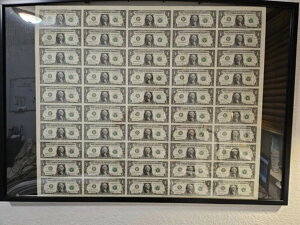 ����50����1�h���A�M������s�����ْf�V�[�g - �j���[���[�N�x�X�A���ڂ̃V���A��