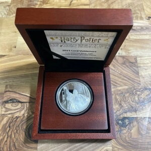 2021N jEG 1IX 999v[t݁FHf[g  - Vi