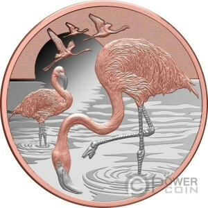 t~S 1IX  1h jEG 2025