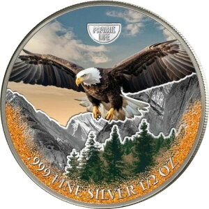 2025 J[ AJ nNgEV   AJ 쐶 WWF 