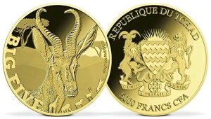 2025N `h .999  XvO{bN AtJ 쐶 24K S[h rbOt@Cu WWF A