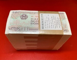 ���b�g 1000 �A�����K�Ƃ��āA�x�g�i�� 2000 �h������ /UNC