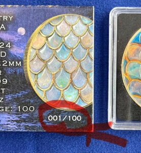 2024N 1IX .999 Vo[ ASE Ip[ oCp[ RC #1/100 fBXvCP[X {bNXt COA