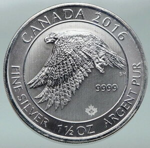 2016N Ji_ p GUxX2 Xm[EB[ WCAR 1 1/2IX 8h i87173