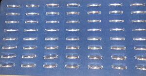 �A�����J�����ǔ��s �V���o�[ �X�e�[�g �N�H�[�^�[ 56 ���Z�b�g�i6 �̏��B���܂ށj1 �������� 8.25 �|���h