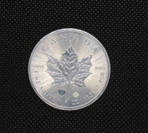 2015NJi_ $5 .9999  1IX Vo[ [v[t RC n[g vr[ (50K )