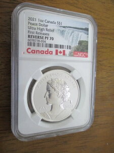 2021�N�J�i�_ 1�I���X �V���o�[�s�[�X�h�� �E���g���n�C�����[�t ���� NGC REVPF70