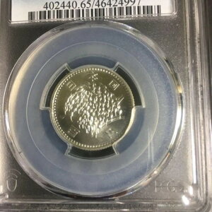 ÑK PCGS  100~ S 41 MS65 / 60