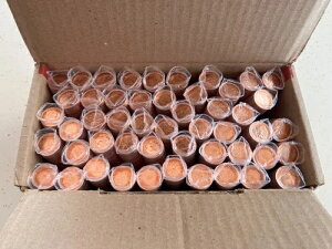 2012NJi_Ji_RCM񎥐1Zgyj[RC50[{bNX