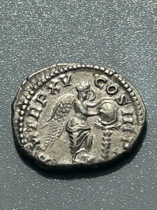 ZveB~EXEZEFX AR fiEX̏AA[}  207 N GNXgt@C W 3.55