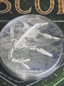 2020N S 3IX Vo[ 2000 gOO vVITEX΃RC .999 JvZt