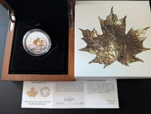 2019N 15h  - S[f[v[t