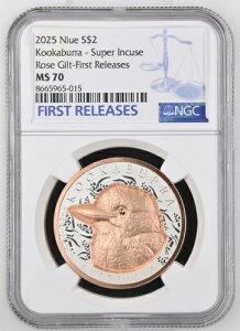1IX 2025N jEG NbJo [YbL X[p[CJYh NGC MS 70 POP 16