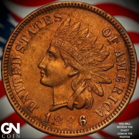 1886年 タイプ1 インディアンヘッド セントペニー Z7645