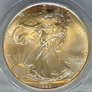 1993N PCGS GEM UNC WTC OEh[ 2001N911 Vo[C[O S[fg[ \