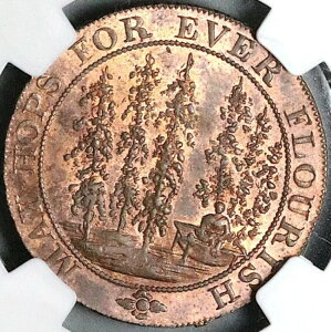 1794 NGC MS 63 �z�b�v �����o�[�n�[�X�g �P���g �R���_�[ 1/2�y�j�[ DH 34 POP 1/1 (23060204C)