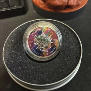 Ji_ 2025 5h [v[t - XeXJI 1IX Vo[