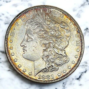 1881-S [K ? PL / DMPL v[t̂悤Ȍ ? قǔO!