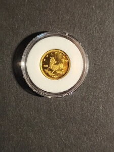 1996N S[hjR[ 5 1/20IX