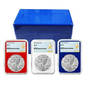 2024 N $1 AJ Vo[ C[O 3 Zbg NGC MS70 EFXg |Cg X^[ x bh zCg...