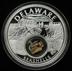 2021N AJ̕ fEFALk .999 Vo[ lCeBuAJ~g