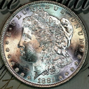 1881-O ɏ+Εt BU MS [K Vo[ h DC140 }V[Y z[h