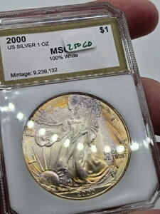 2000 PCI AJ Vo[ C[O 1 h - JtȃuYAC g[ 