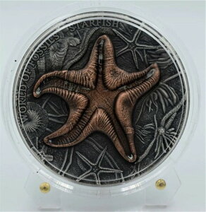 2019N jEG - qgf̐Ẻ΃AeB[Ndグ 2IX 