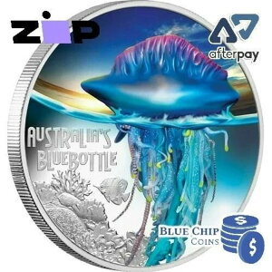 2024N 1h co̊댯ȃAIoKX 1IX v[t݁iJ[RCj