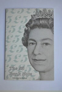 ���C�����~���g 5�|���h���� ���ْf�V�[�g �P���g�t�B�[���h AB16999604-AB17-AB18 �~���g