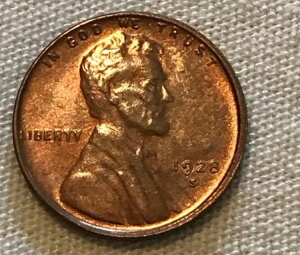 1928ÑJ[ZgA/F̖ʕiAꕔ~gbhcĂ