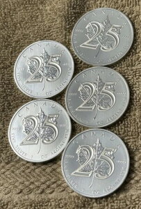 bg5 2013N Ji_ [v[t 25NLO 1IX  BWBU+