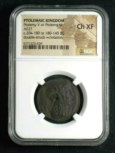 �v�g���}�C�I�X���v�g���}�C�I�X5����AE27�A�C�V�X�\�ʁBNGC Ch XF 3039