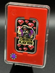 |X^GNXvX~g LveubNr[N pC[cWFh 1IX Vo[o[ #2/5