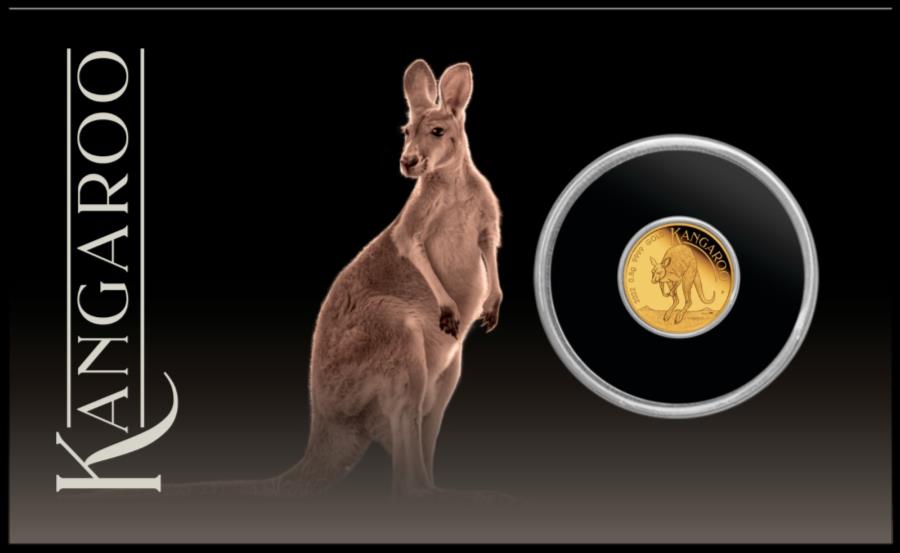アンティークコイン　モダンコイン　[送料無料]　0.5　card　Gold　.9999　coin　in　2022　2022オーストラリアミニルー$　$2　Proof　Australia　Pure　0.5グラム.9999カードカンガルーの純金プルーフコイン　Gram　Roo　Mini　Kangaroo