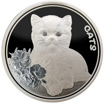 楽天市場】猫 銀貨の通販